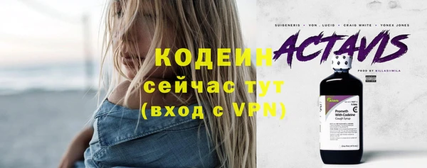 меф Вяземский