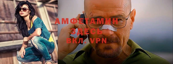 меф Вяземский